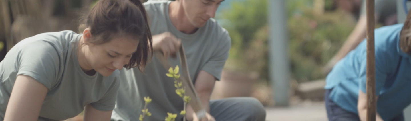 banner image